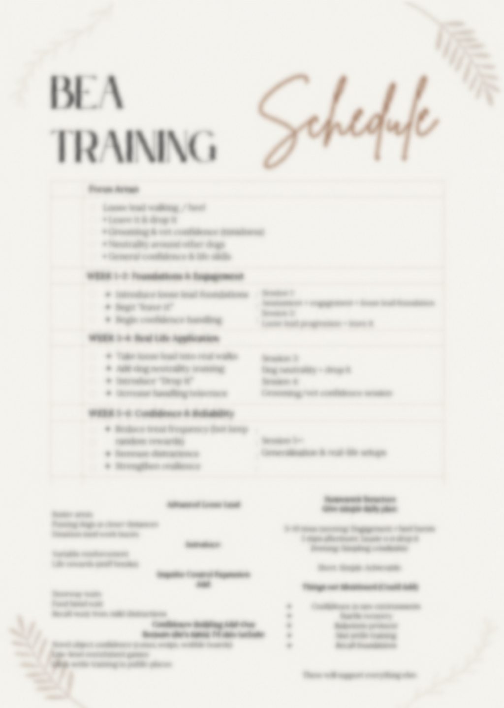 Personalised Training Plans